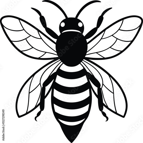bee vector illustration