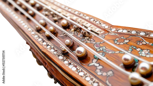 Traditional Indian sitar with inlaid mother of pearl Transparent background, PNG file