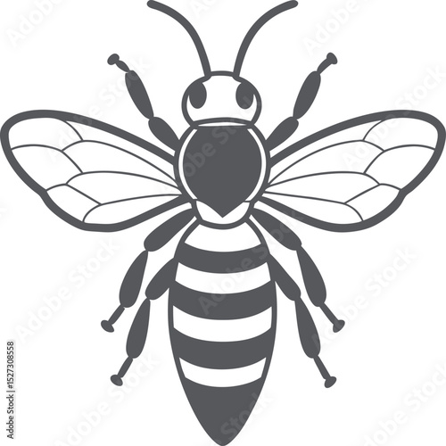 vector illustration of a bee