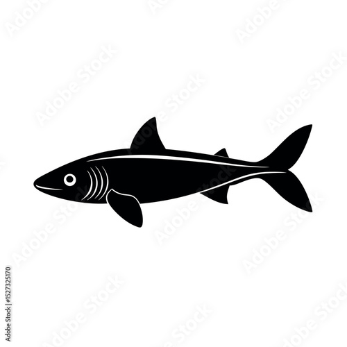rudd fish vector silhouette photo
