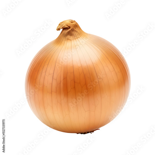 Golden onion bulb close up shot for cooking recipes and food photography on black background studio shot on transparent background
