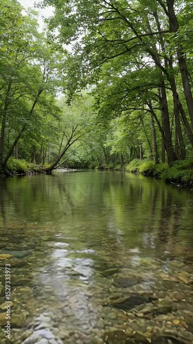 Serene River Nature Background Video