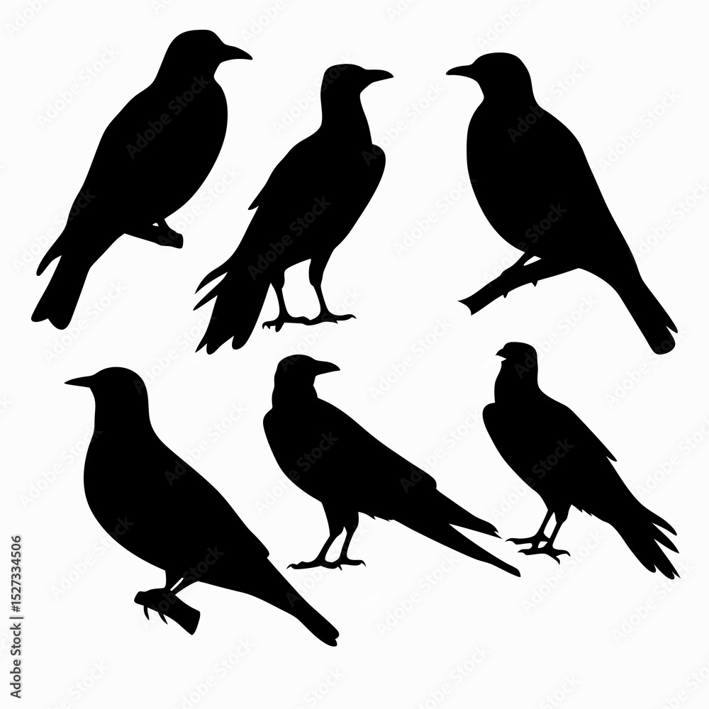 Fototapeta premium birds silhouettes set