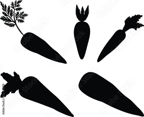fresh carrot silhouette on white background.