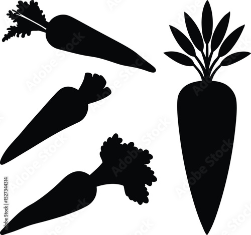 fresh carrot silhouette on white background.