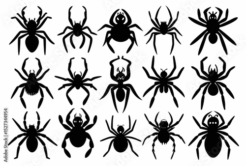 Collection of Fifteen Black Tarantula Spider Silhouettes