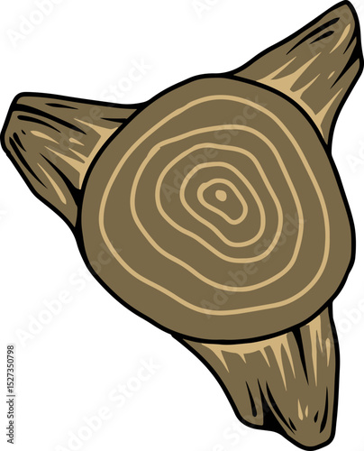 Tree Stump Top View