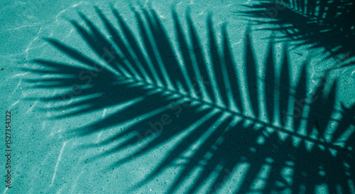 Palm leaf shadow on a turquoise surface creating a minimalist summer vibe