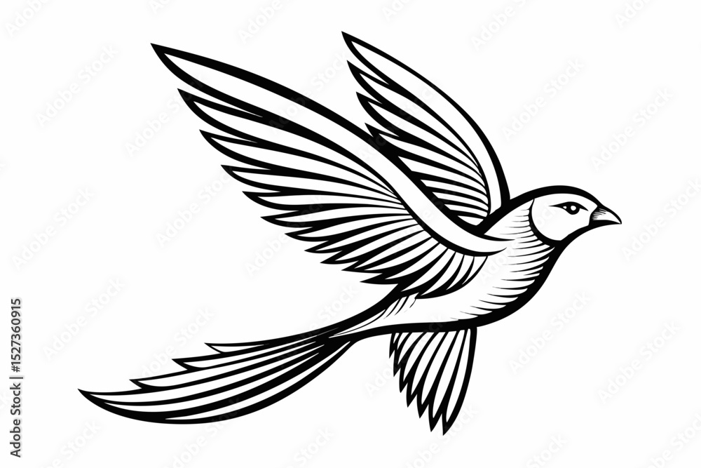 Obraz premium Elegant Black and White Drawing of a Bird in Flight