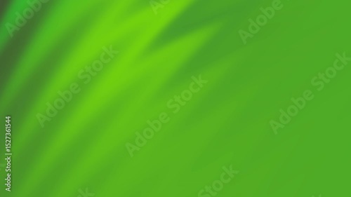 Abstract Green: Nature's Minimalist Shadow Play
