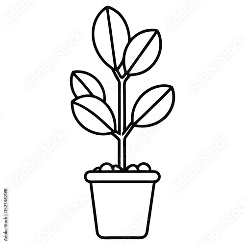 Linear monochrome vector illustration. white background. Small trees and shrubs ,