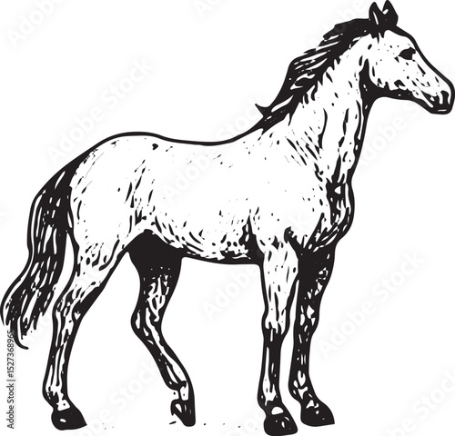 A black and white detailed illustration of a standing horse with a flowing mane and tail, showcasing intricate shading and texture in a realistic style