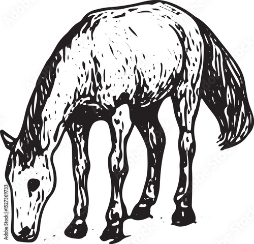 A black and white woodcut-style illustration of a horse grazing, featuring fine lines, shading, and a realistic posture that highlights the animal's muscular form