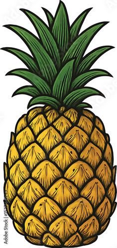 Hand Drawn Pineapple Illustration – Tropical Fruit Clipart for T-Shirts, Stickers, and Summer Designs