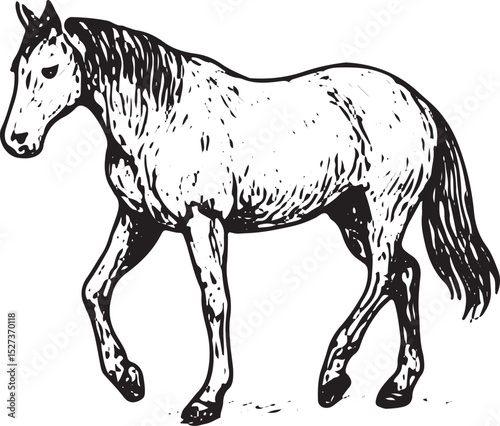 A highly detailed black and white horse illustration, capturing its grace and strength. The flowing mane and dynamic pose enhance its elegance, making it ideal for artistic and equestrian-themed desig