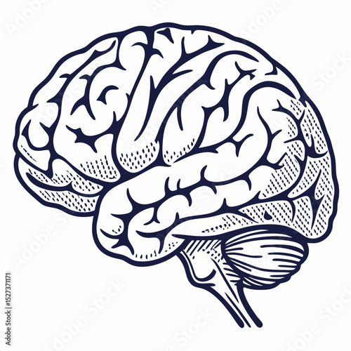 Brain with halftone stipple effect vector	