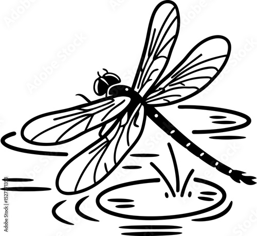 dragonfly resting on lily pad, intricate wings nature scene, pond, aquatic life illustration