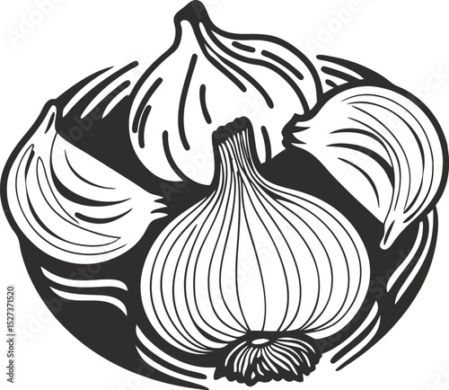 black and white illustration of garlic bulbs and cloves