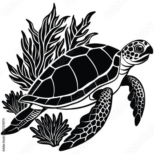 sea turtle with coral reefs and seaweeds vector, Black and white hand-drawn graphics translated into vector