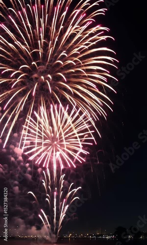 Pink and Gold Fireworks Night Display