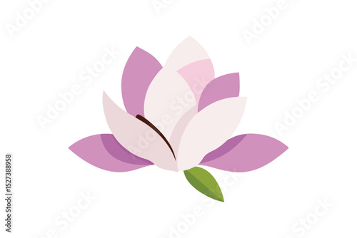 Isolated magnolia blossom with elegant petal form vector art illustration