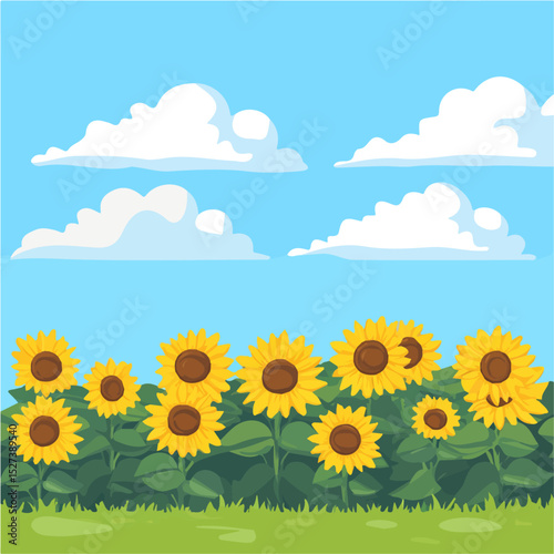 Sunflower Fields Brilliant Sky vector 2D flat illustration, isolated on a white background.