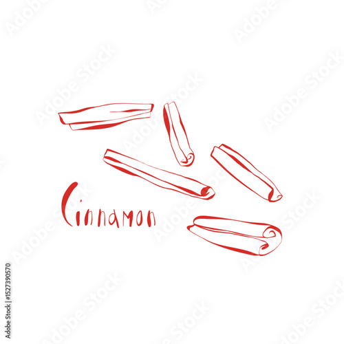 red cinnamon spice doodle sketch on white background with handwritten text simple natural vector illustration