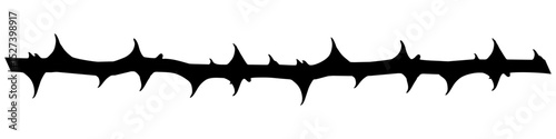 Silhouette thorn branch vector for striking, minimalist depictions of thorny branches. It's ideal for conveying concepts of danger, nature, or a defensive aesthetic in dark or edgy designs.