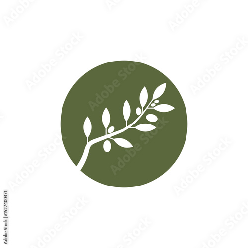 Stylized branch logo vector and symbol