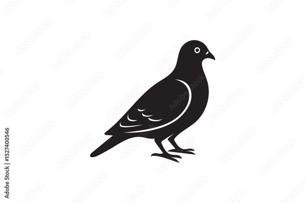 Fototapeta premium Pigeon silhouette on white background.02