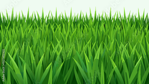 green grass on white background