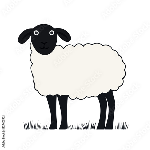2D flat Sheep illustration vector, isolated on a white background.