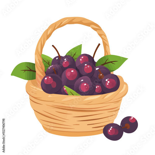 Serviceberry Fruit Basket vector 2D flat illustration, isolated on a white background.