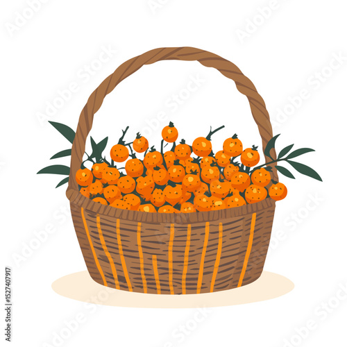 2D flat vector illustration of Sea Buckthorn Fruit Basket, isolated on a white background.