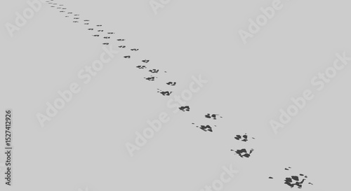 Monochrome animal footprint trails across a solid background, minimalist design