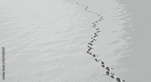 Footprints in the Snow: A Serene Winter Landscape with Traces of Life