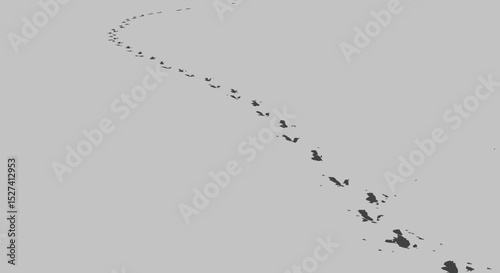 Footprints in the snow concept showing path, route and direction in nature outdoors