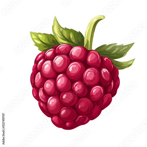 Raspberry Slice vector 2D flat illustration, isolated on a white background.