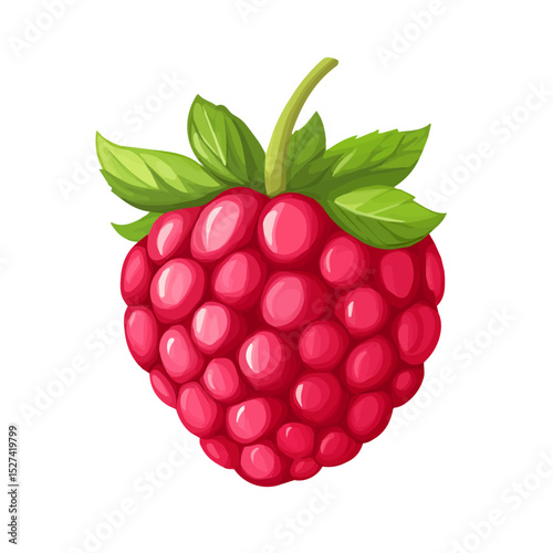 2D flat Raspberry Slice vector illustration, isolated on a white background.