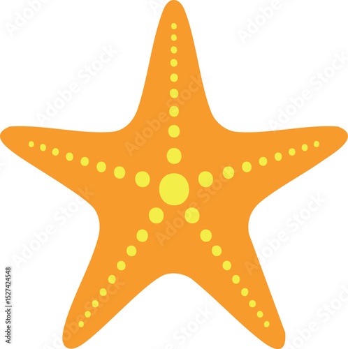 starfish flat illustration