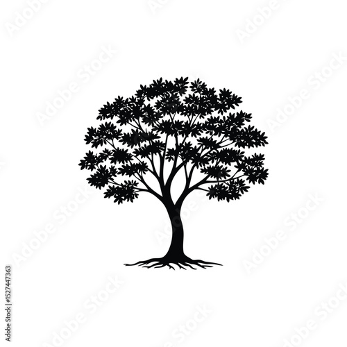 tree silhouette isolated on white