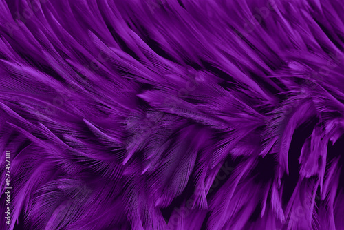 Beautiful purple bird feathers pattern texture background.