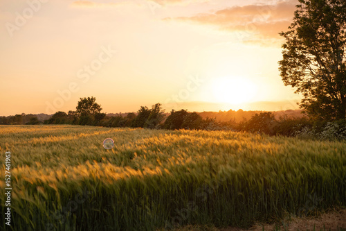 Soap bubble floating over a field during sunset.