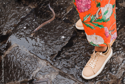 Fototapet The freshest eel fish at the Sicilian market