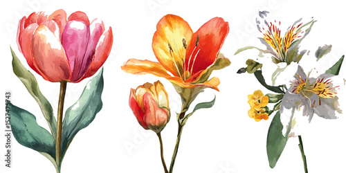Radiant Orchid Collection – Watercolor Portraits in Vibrant Hues.  Elegant Watercolor Floral Illustrations, Pastel Colors on a Cream Background, Isolated Elements.