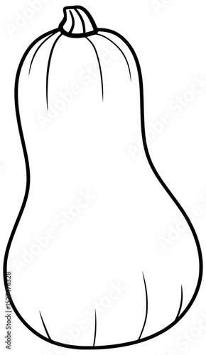 Butternut Squash Vector Outline Line Art Drawing