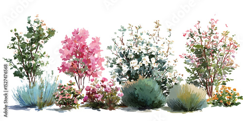 Side View of Colorful Flower Bush on White Background. Flowers graphics pattern blossom.
