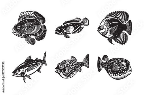 silhouette of ocean fish on the white background