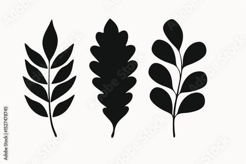 Elegant Silhouette Leaf Set Botanical Illustrations for Design Projects