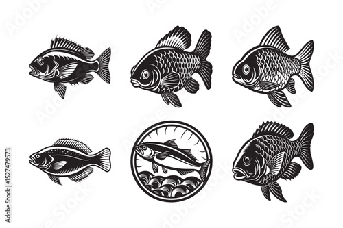 silhouette of ocean fish on the white background